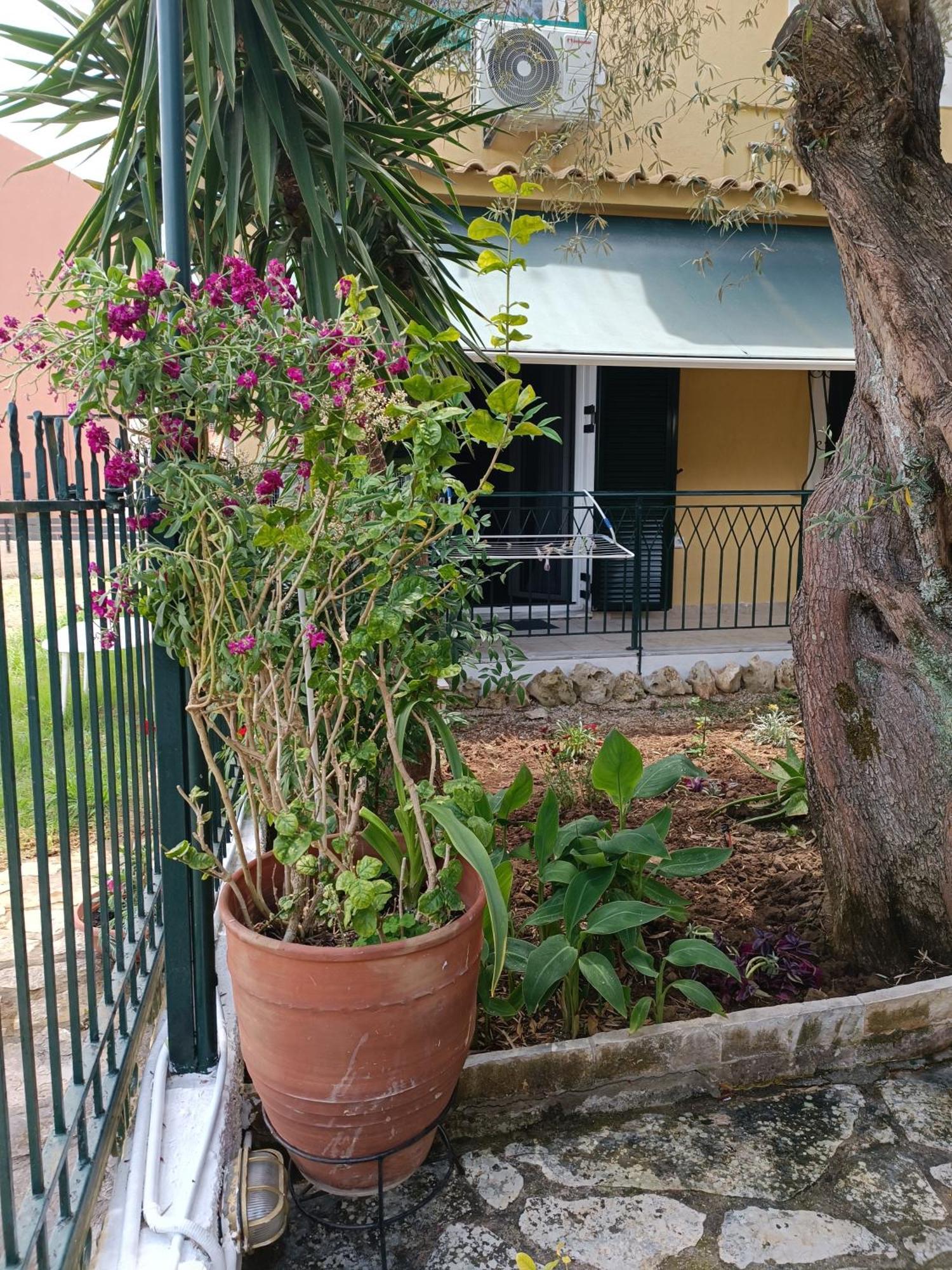 Casa Trizoni Nikiana Apartment Bagian luar foto