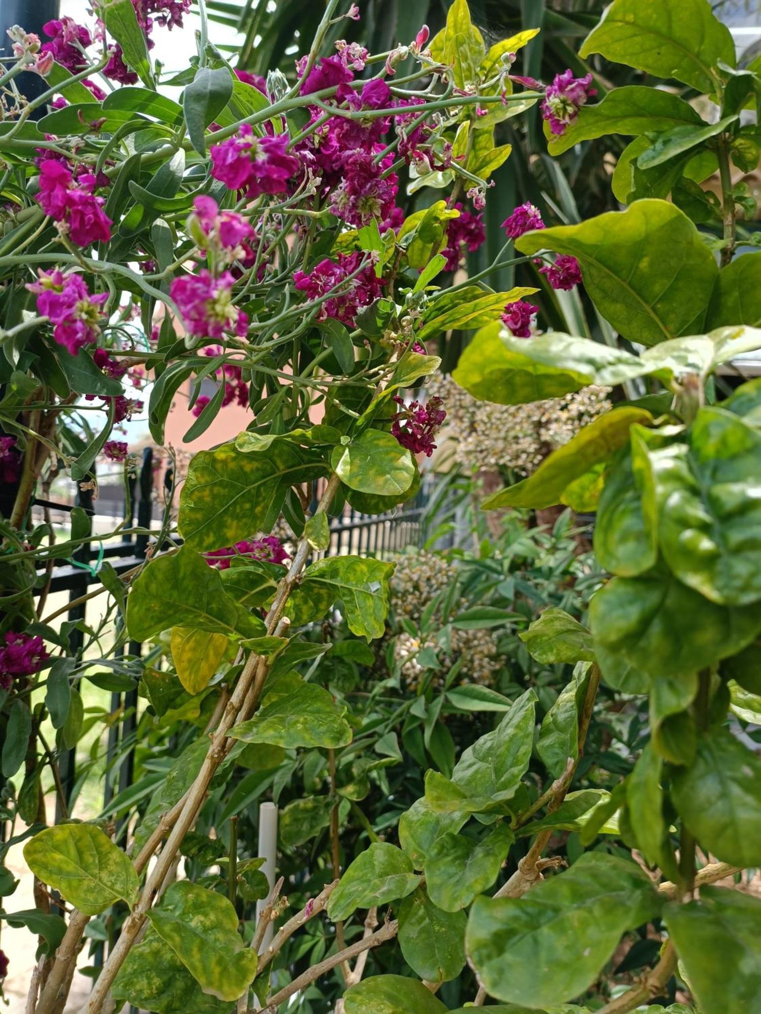 Casa Trizoni Nikiana Apartment Bagian luar foto