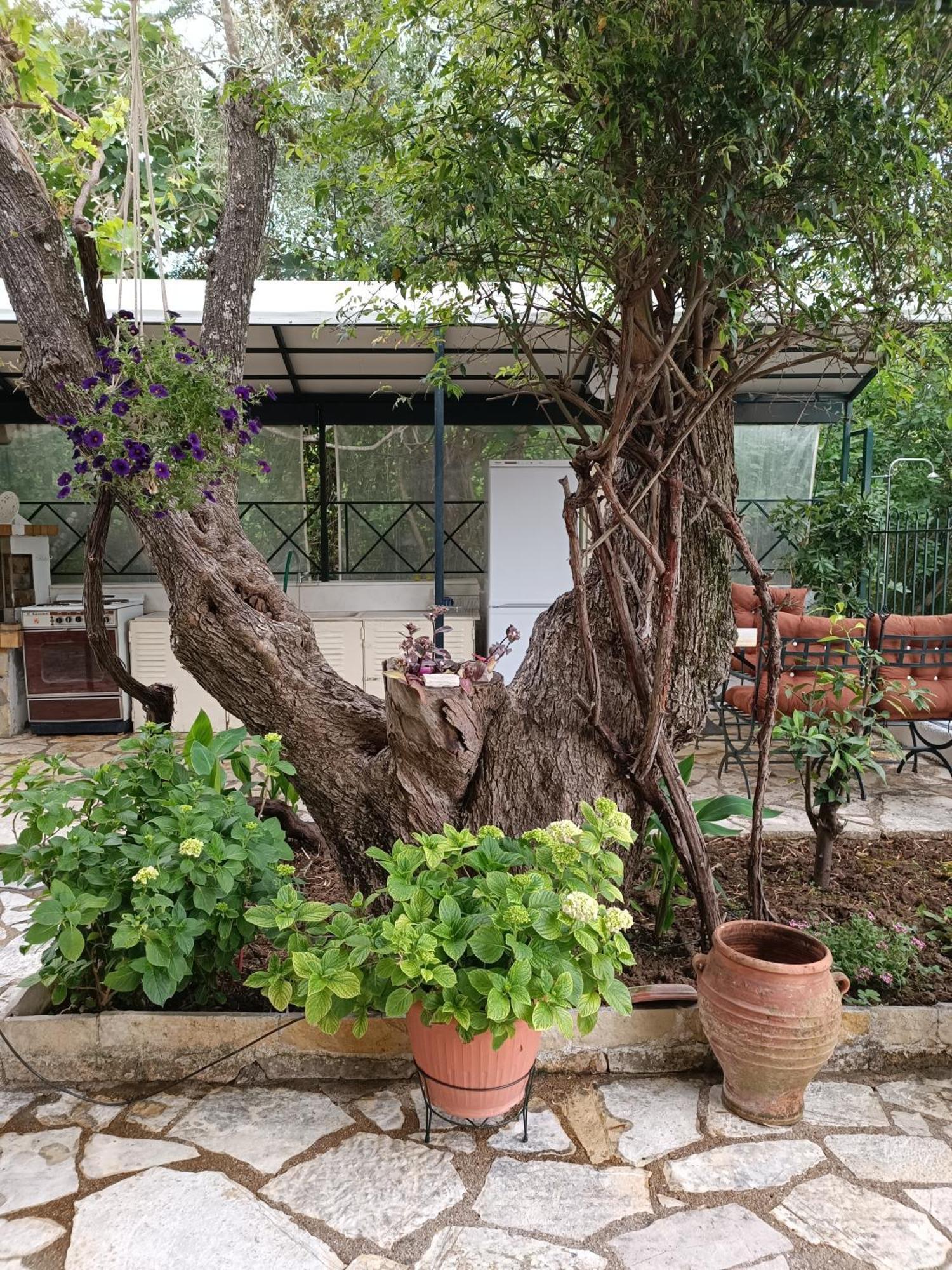 Casa Trizoni Nikiana Apartment Bagian luar foto