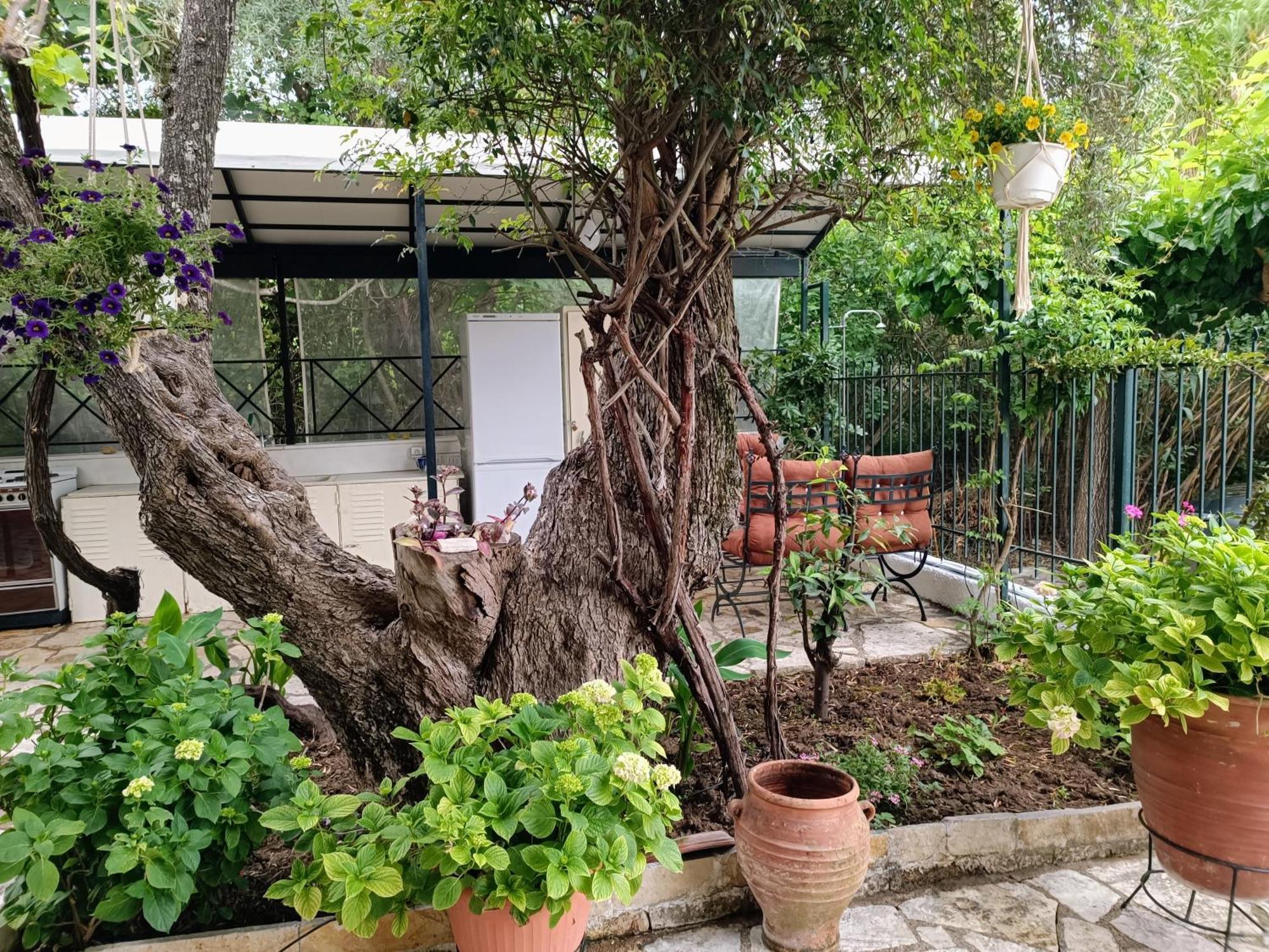 Casa Trizoni Nikiana Apartment Bagian luar foto